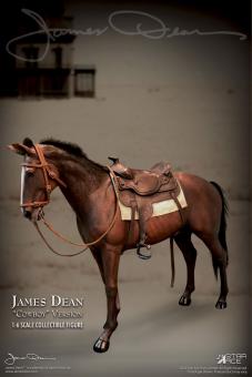 James Dean Horse Accessories Set (Marron) 