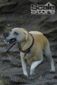 Labrador Retriever Dog 1/6 