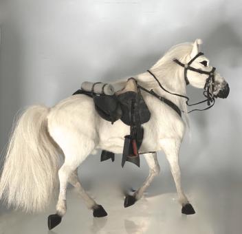 Western Horse with Western saddel 